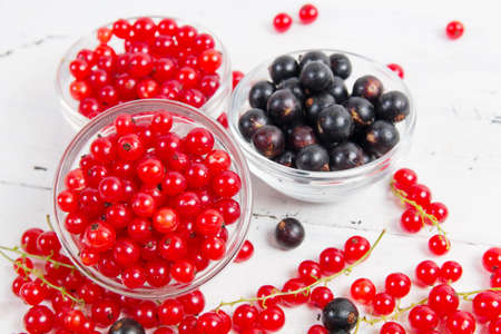 berries of red and black currant close upの写真素材