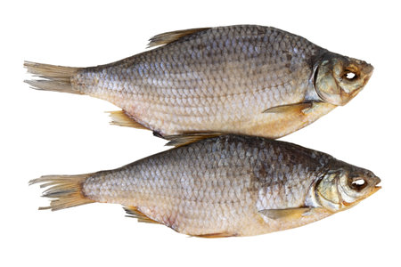 dry dried fish isolated on a white backgroundの写真素材
