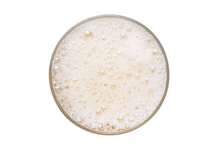 Beer foam isolated on white background. View from above.の写真素材
