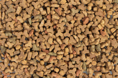 dry cat food close up. top viewの写真素材