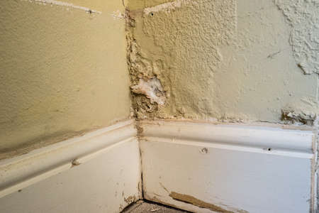 Rising damp and salt crystal salination