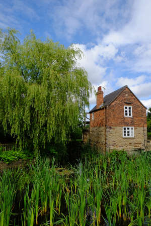 Willow tree and mill at Rother Valley, Rotherhamのeditorial素材