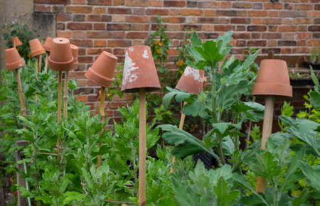Clay plant pots on sticks for eye protectionの写真素材
