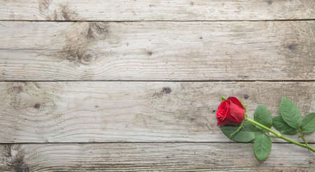 Single red rose on wooden backgroundの写真素材