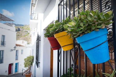 Colorful plantpots outside village house in Frigilanaの写真素材