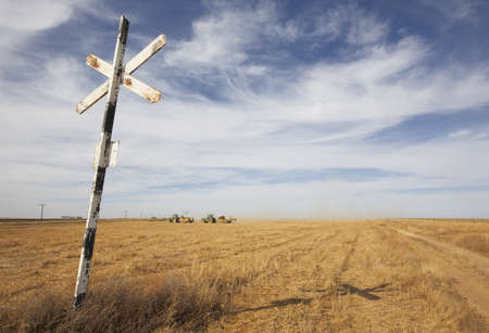 Train signal on a crossroad with wheat fieldの写真素材