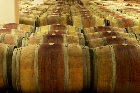 Wine barrels in an aging process at spanish cellar