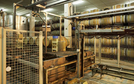 Wine barrels in a filling process at spanish cellarの写真素材