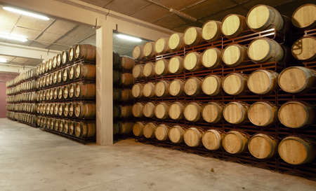 Wine barrels in an aging process at spanish cellar