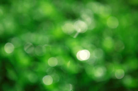 Defocused nature shiny lighst background green toneの写真素材