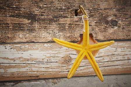 Yellow starfish and shell like a key holderの写真素材