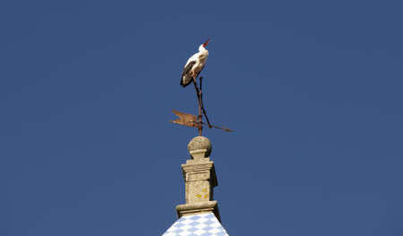Stork on roof against blue sky copy spaceの写真素材