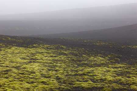Volcanic moss landscape in Lakagigar, Iceland South areaの写真素材