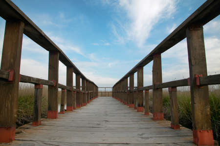Footbridge walkway to wetland park of Tablas de Daimiel Spainの写真素材