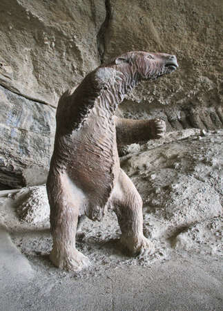 Chile  Patagonia  Milodon model in a cave  Vertical  の写真素材