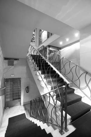 Hotel staircase with carpet  Vertical  Black and white のeditorial素材