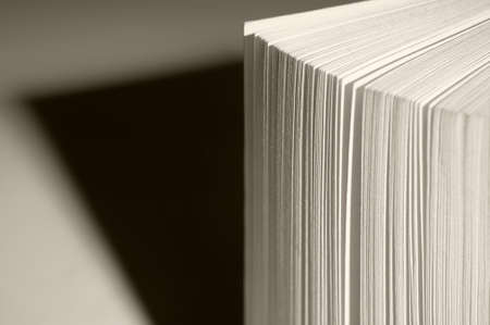 Book pages detail with shadow in sepia tone  Horizontal