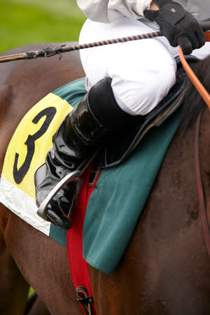 Race horse and jockey ready to run  の写真素材