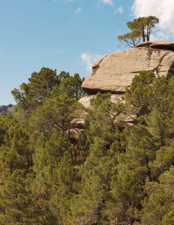 Landscape with huge rocks and pine tree forest in Spain. Verticalの写真素材