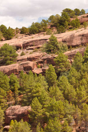 Landscape with pine tree forest and huge rocks in Spain. Verticalの写真素材