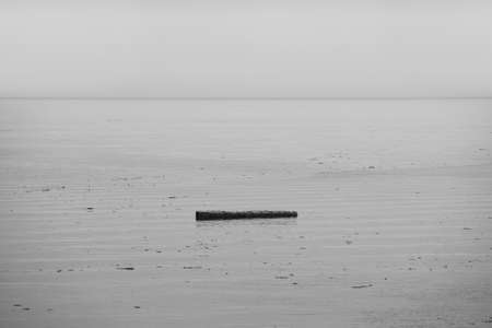 Trunk in the sea in a foggy day. Canada. Horizontal formatの写真素材