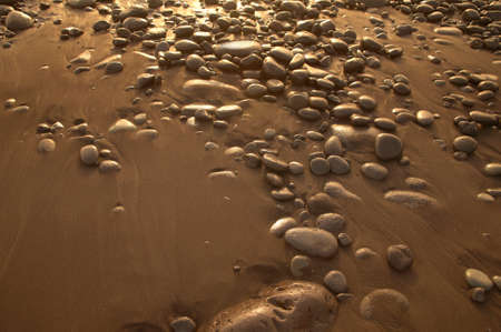 Sand and stones in the beach in warm tone. Horizontal