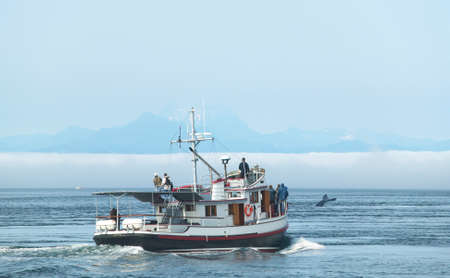 Whale watching boat in Vancouver. British Columbia. Canada. Pacific Oceanの写真素材