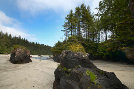 Landscape in Cape Scott Park. Vancouver. British Columbia. Canada.の写真素材