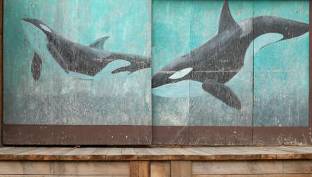 Wooden rusty warehouse doors with orcas painting in Vancouver. Canadaのeditorial素材
