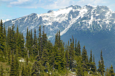 Whistler landscape with forest and mountains. British Columbia. Canada. Horizontalの写真素材