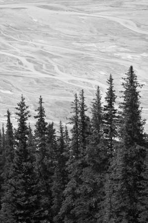 Canadian landscape with glacier. Icefields parkway. Alberta. Canada. Verticalの写真素材