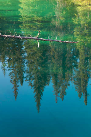 Canadian landscape reflection with lake and forest in Alberta, Canadaの写真素材