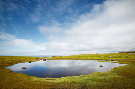 Scottish coastline landscape in Shetland islands. Scotland. UK. Horizontalの写真素材