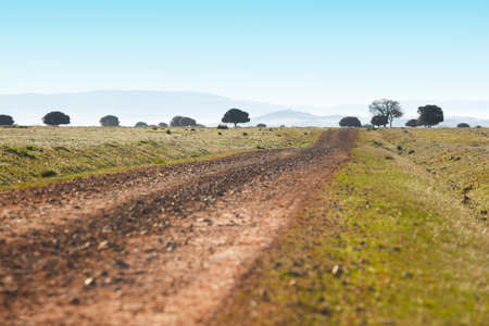 Dirty road in a mediterranean meadow. Cabaneros, Ciudad Real. Spain. Horizontalの写真素材
