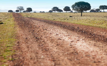 Dirty road in a mediterranean meadow. Cabaneros, Ciudad Real. Spain. Horizontalの写真素材