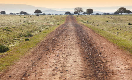 Dirty road in a mediterranean meadow at sunset. Cabaneros. Spain. Horizontalの写真素材