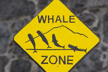 Whale watching signpost and blurred background in Azores. Portugal. Horizontalの写真素材