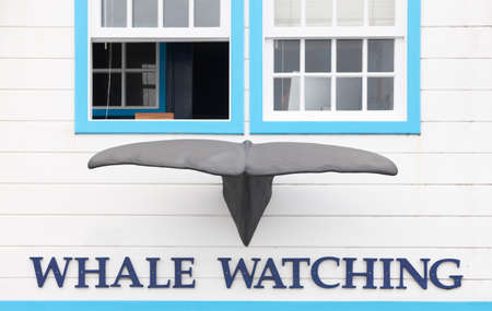 Whale watching building facade with whale tale in Azores. Portugal. Horizontalの写真素材