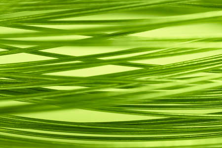 Green tone abstract metallic background. Defocused. Horizontal formatの写真素材