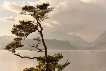 Norwegian fjord landscape. Folgefonn peninsula. Hereiane rest area. Visit Norwayの写真素材