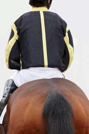 Race horse with jockey ready to run. Paddock area. Verticalの写真素材