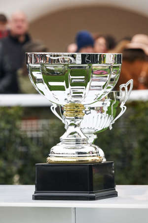 Silver cup trophy. Hippodrome paddock area. Sport competition. Verticalの写真素材