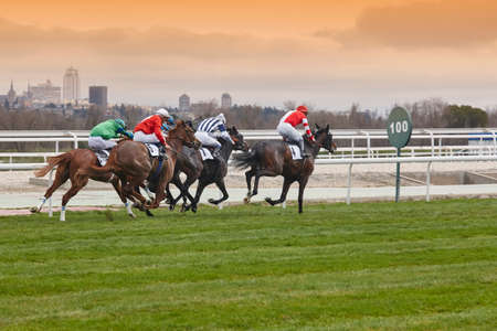 Horse race final rush. Competition sport. Hippodrome. Winner. Speed backgroundのeditorial素材