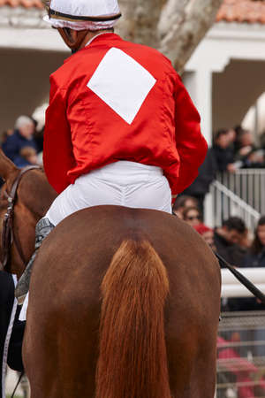 Race horse with jockey ready to run. Paddock area. Verticalの写真素材
