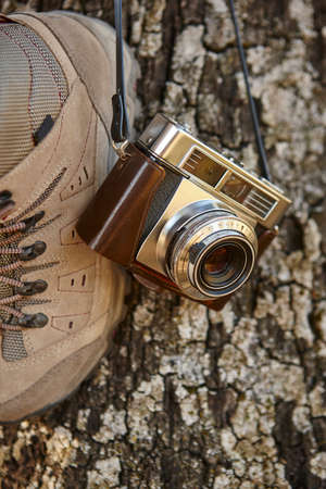 Vintage camera with hiking boots and tree trunk. Travel background