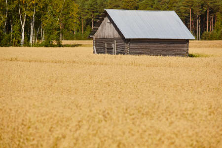 Traditional finnish wooden farm in the countryside. Finland landscape. Horizontalの写真素材