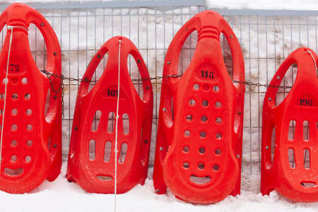 Red sledges ready to rent. Winter sports. Recreation. Horizontalの写真素材