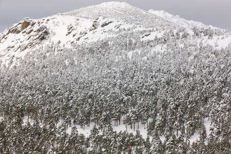 Winter mountain forest snowy landscape. Navacerrada, Spain. Horizontalの写真素材