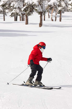 Skiing on a forest slope. White mountain landscape. Winter sportの写真素材