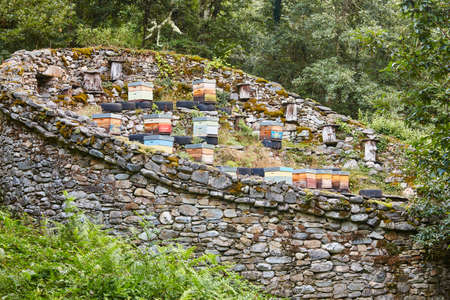 Beehives. Traditional stone wall structure against bears. Muniellos, Asturias, Spain